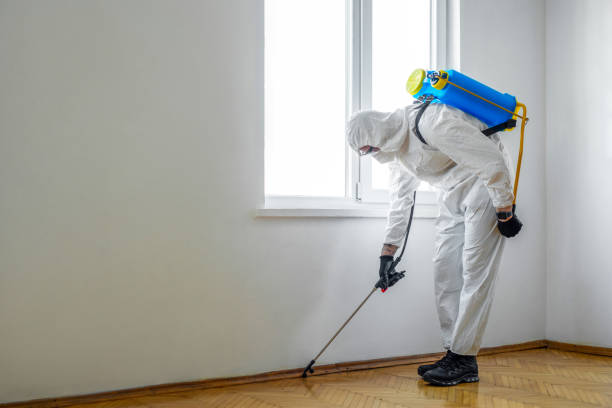 Best Bed Bug Extermination  in Takoma Park, MD