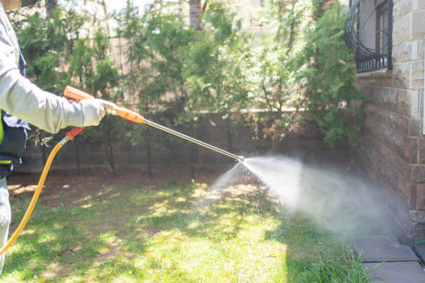 Best Spider Control Near Me  in Takoma Park, MD