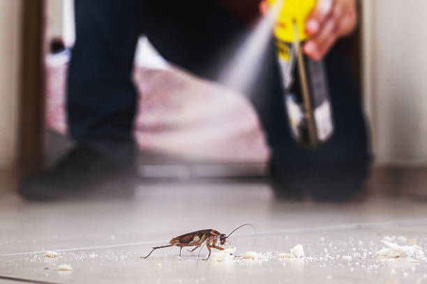 Best Emergency Pest Control  in Takoma Park, MD